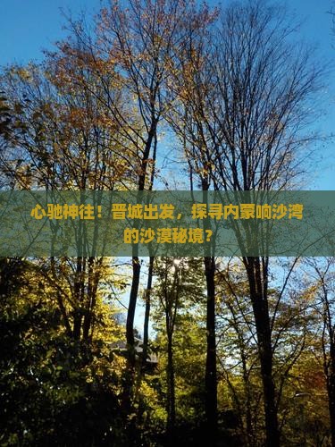 心驰神往！晋城出发，探寻内蒙响沙湾的沙漠秘境？