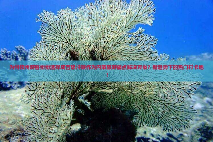 为何钦州游客纷纷选择成吉思汗陵作为内蒙旅游痛点解决方案？新趋势下的热门打卡地！