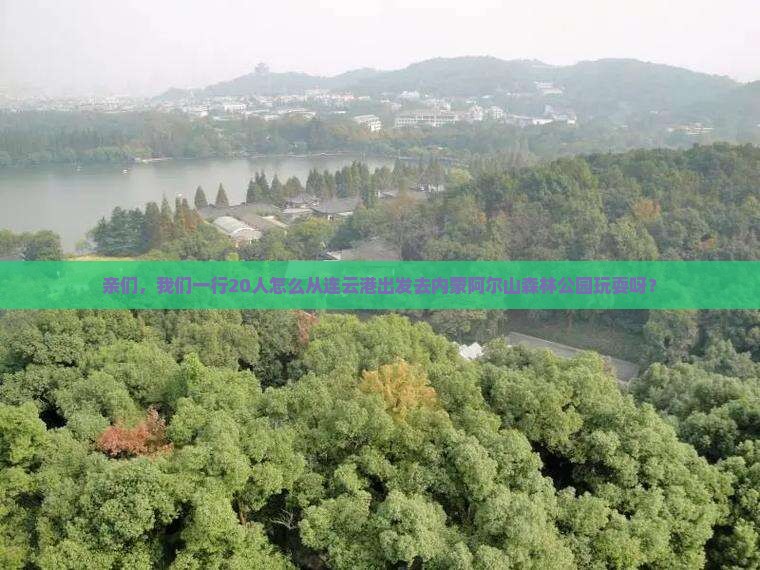 亲们，我们一行20人怎么从连云港出发去内蒙阿尔山森林公园玩耍呀？