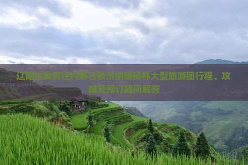 辽阳出发前往内蒙古额济纳胡杨林大型旅游团行程、攻略及预订疑问解答