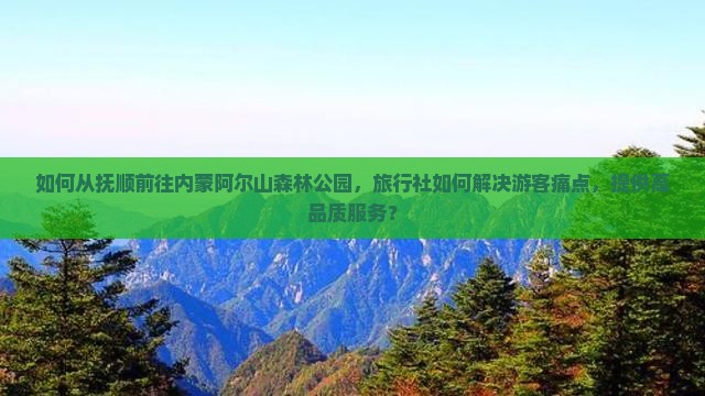 如何从抚顺前往内蒙阿尔山森林公园，旅行社如何解决游客痛点，提供高品质服务？