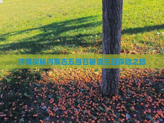 济源探秘内蒙古五当召秘境三日探险之旅