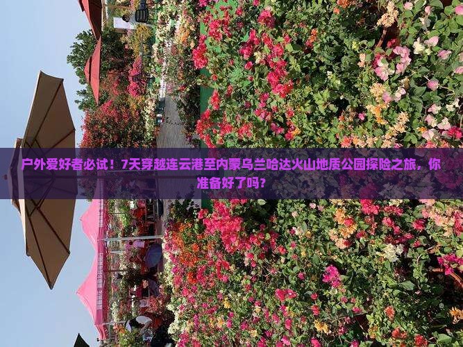 户外爱好者必试！7天穿越连云港至内蒙乌兰哈达火山地质公园探险之旅，你准备好了吗？