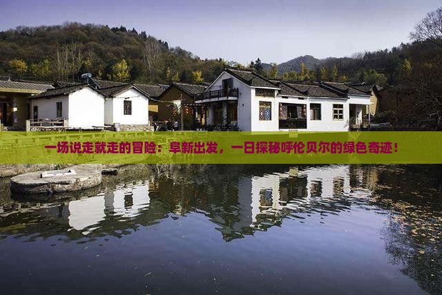 一场说走就走的冒险：阜新出发，一日探秘呼伦贝尔的绿色奇迹！