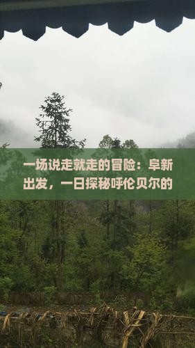 一场说走就走的冒险：阜新出发，一日探秘呼伦贝尔的绿色奇迹！