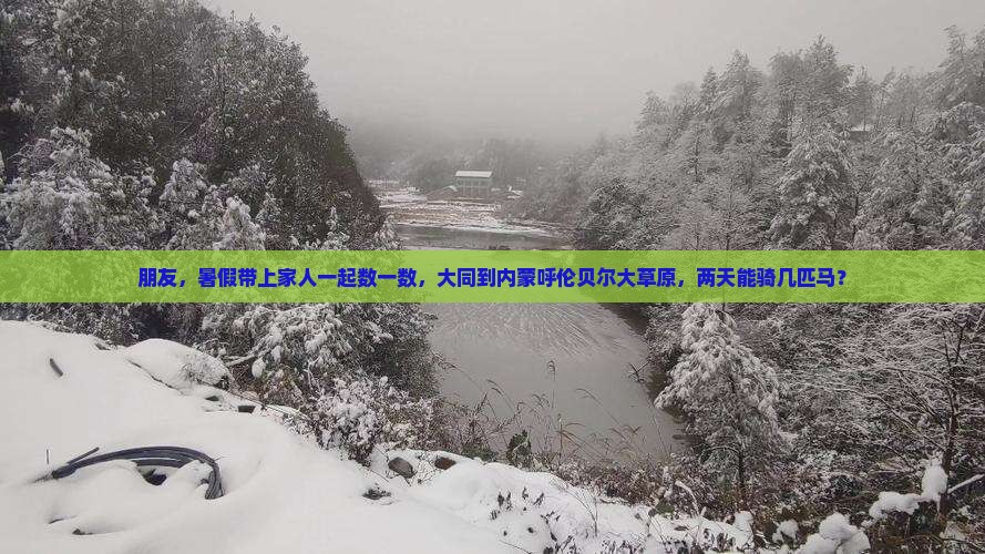 朋友，暑假带上家人一起数一数，大同到内蒙呼伦贝尔大草原，两天能骑几匹马？