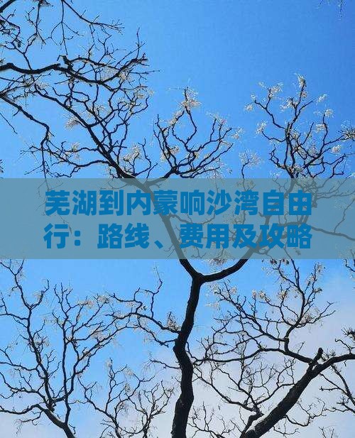 芜湖到内蒙响沙湾自由行
