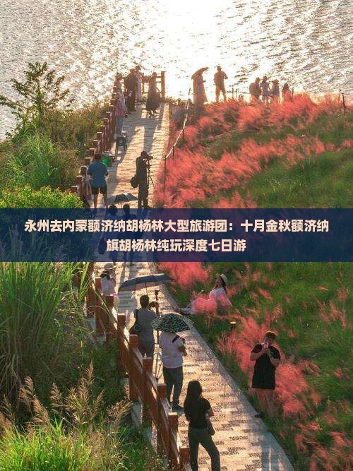 永州去内蒙额济纳胡杨林大型旅游团