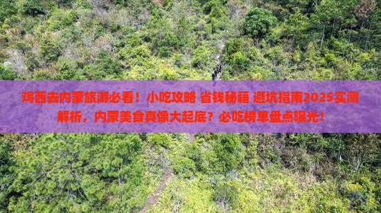 鸡西去内蒙旅游小吃