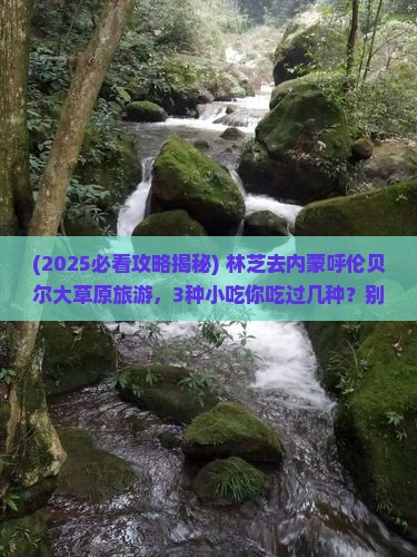 林芝去内蒙呼伦贝尔大草原旅游小吃