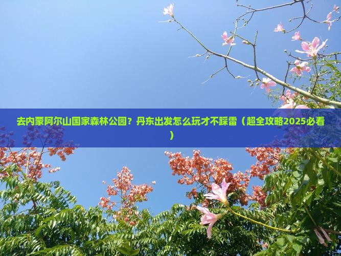 丹东去内蒙阿尔山国家森林公园哪里玩