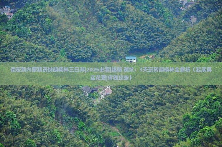 德宏去内蒙额济纳胡杨林三日游