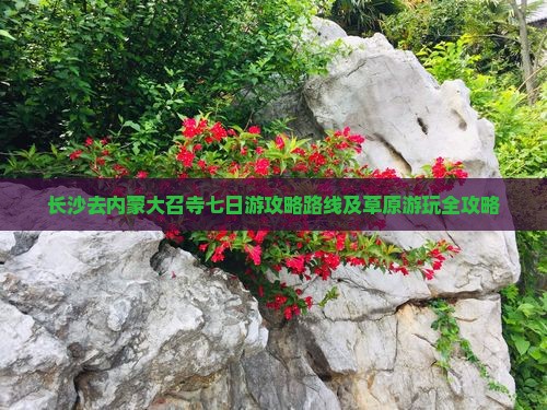 长沙去内蒙大召寺七日游