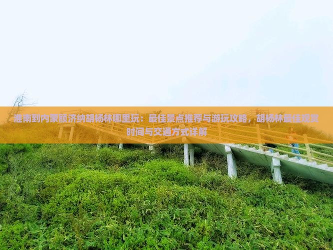 淮南到内蒙额济纳胡杨林哪里玩