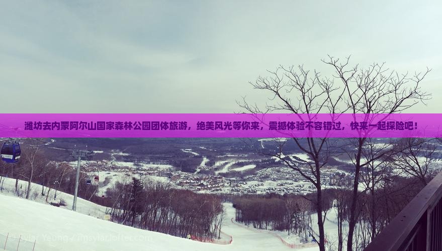 潍坊去内蒙阿尔山国家森林公园团体旅游