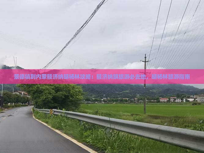 景德镇到内蒙额济纳胡杨林必去地