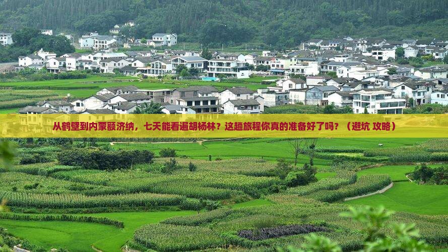 鹤壁去内蒙额济纳胡杨林七日游 鹤壁去内蒙额济纳胡杨林七日游