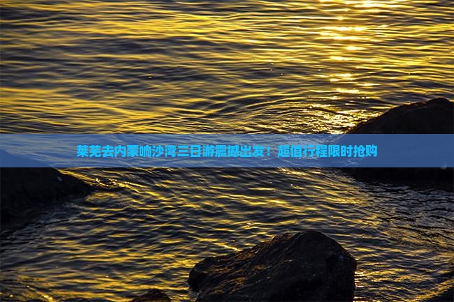 莱芜去内蒙响沙湾三日游