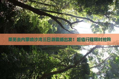 莱芜去内蒙响沙湾三日游