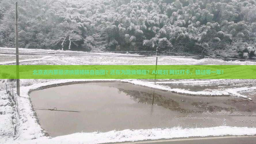 北京去内蒙额济纳胡杨林自由团