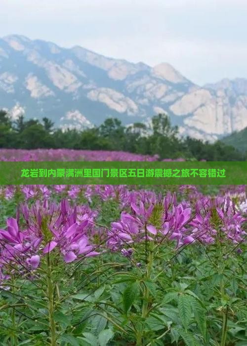 龙岩到内蒙满洲里国门景区五日游