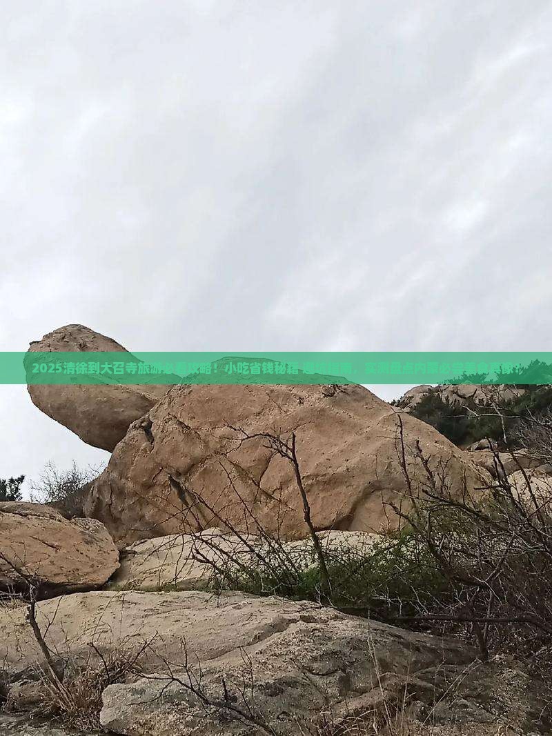 清徐到内蒙大召寺旅游小吃 清徐到内蒙大召寺旅游小吃