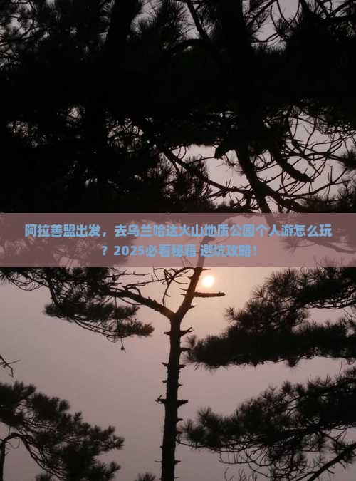 阿拉善盟到内蒙乌兰哈达火山地质公园个人游