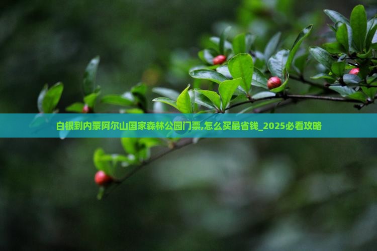 白银到内蒙阿尔山国家森林公园门票