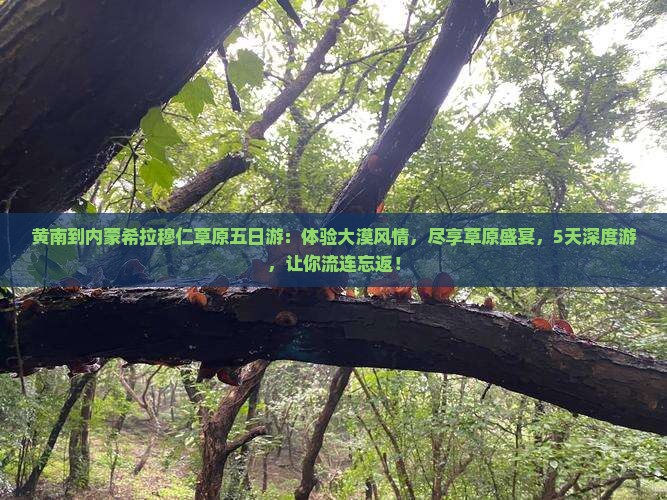 黄南到内蒙希拉穆仁草原五日游