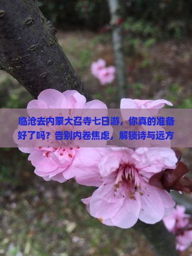 临沧去内蒙大召寺七日游