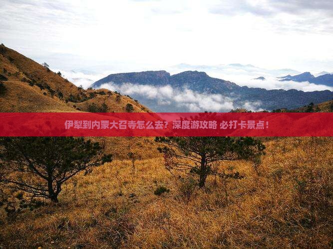 伊犁到内蒙大召寺旅行社