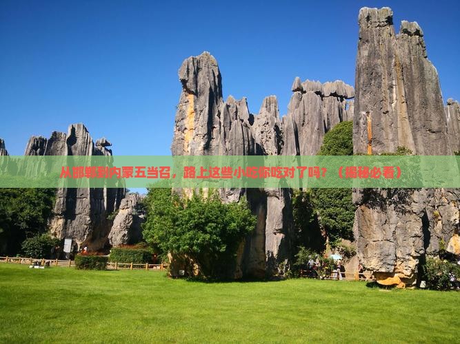 邯郸到内蒙五当召旅游小吃