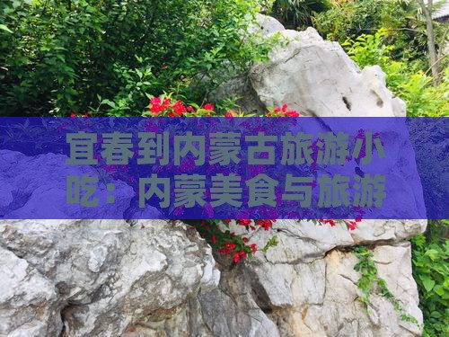 宜春到内蒙旅游小吃