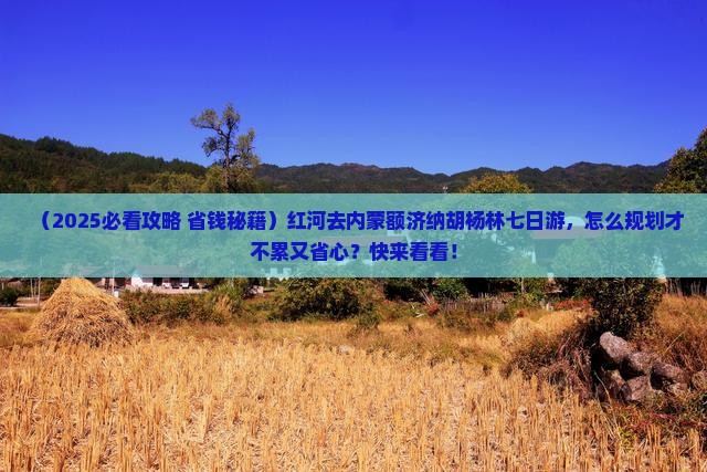 红河去内蒙额济纳胡杨林七日游