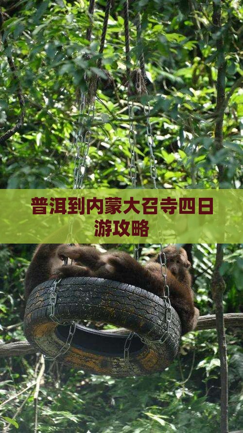 普洱到内蒙大召寺四日游