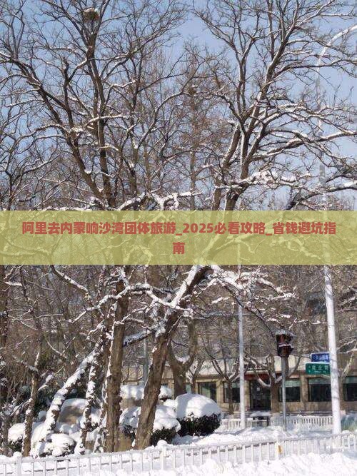 阿里去内蒙响沙湾团体旅游