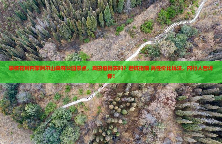 攀枝花到内蒙阿尔山国家森林公园景点