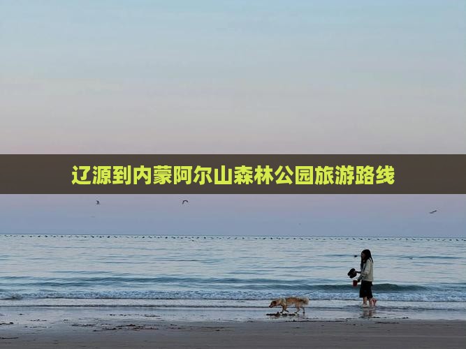 辽源到内蒙阿尔山国家森林公园旅游