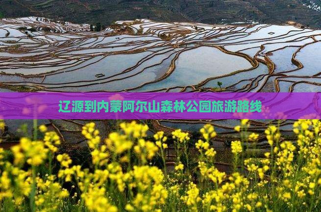辽源到内蒙阿尔山国家森林公园旅游