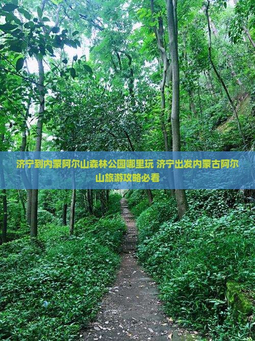 济宁到内蒙阿尔山国家森林公园哪里玩