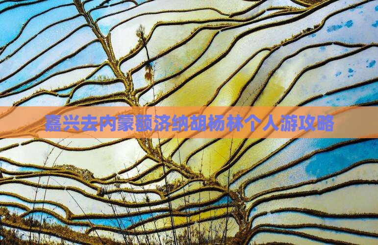 嘉兴去内蒙额济纳胡杨林个人游