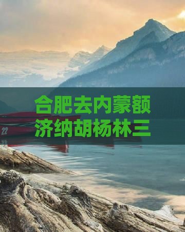 合肥去内蒙额济纳胡杨林三日游