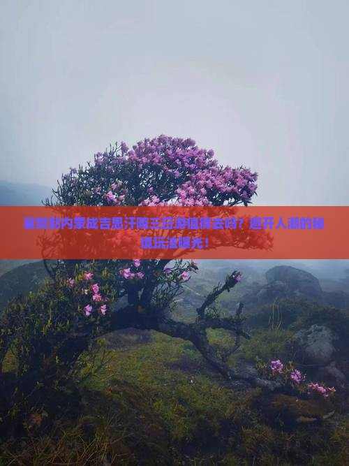 襄樊到内蒙成吉思汗陵三日游