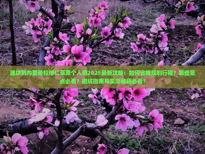 潍坊到内蒙希拉穆仁草原个人游