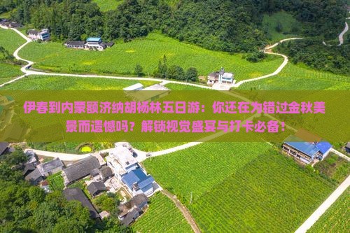 伊春到内蒙额济纳胡杨林五日游