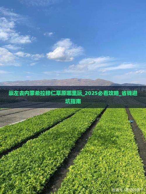 崇左去内蒙希拉穆仁草原哪里玩