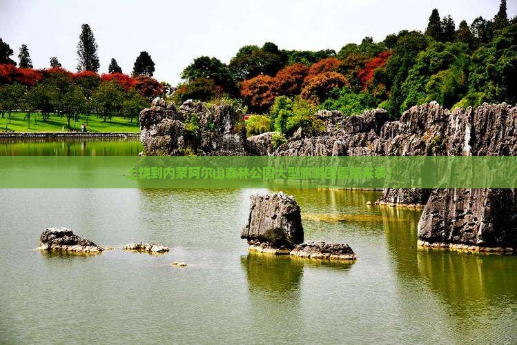 上饶到内蒙阿尔山国家森林公园大型旅游团