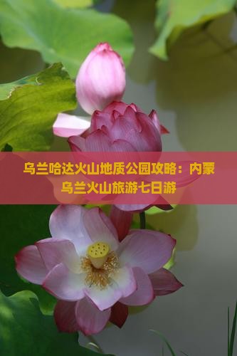 百色到内蒙乌兰哈达火山地质公园七日游