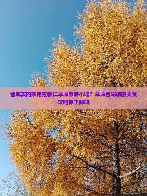 晋城去内蒙希拉穆仁草原旅游小吃