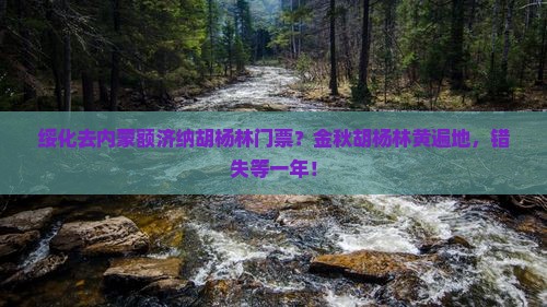 绥化去内蒙额济纳胡杨林门票
